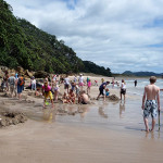 new-zealand-hot-water-beach-coromandel