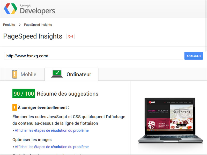 google-pagespeed-insight